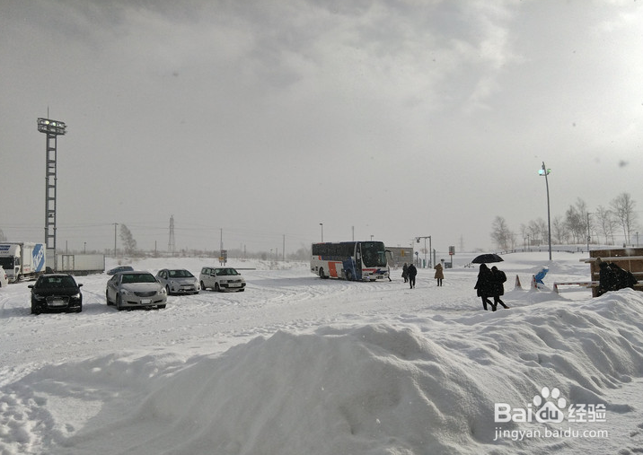 一条性价比爆棚的万元以下日本北海道观雪路线