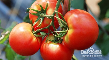 夏季吃什么蔬菜好？