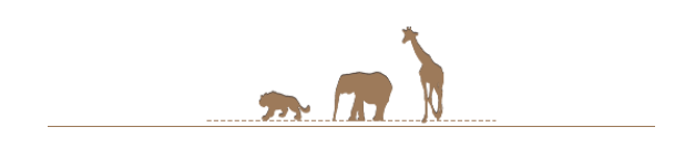 保护野生动物的微信公众号图文应该怎样排版?