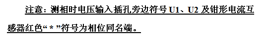 双钳伏安相位表的使用操作