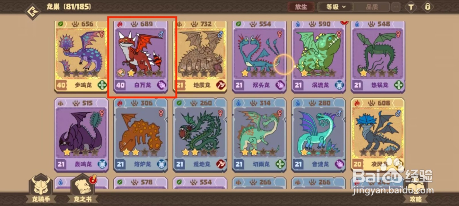 驯龙高手旅程白万龙如何穿戴装备？