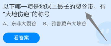 哪项是最长的裂谷带有大地伤疤的称号？蚂蚁庄园