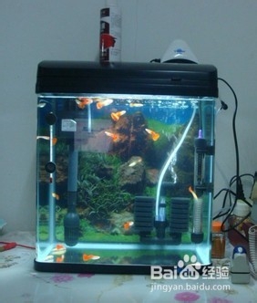 水族箱温度计该如何校对