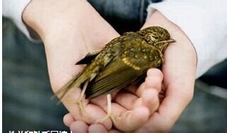 信仰决不等于迷信