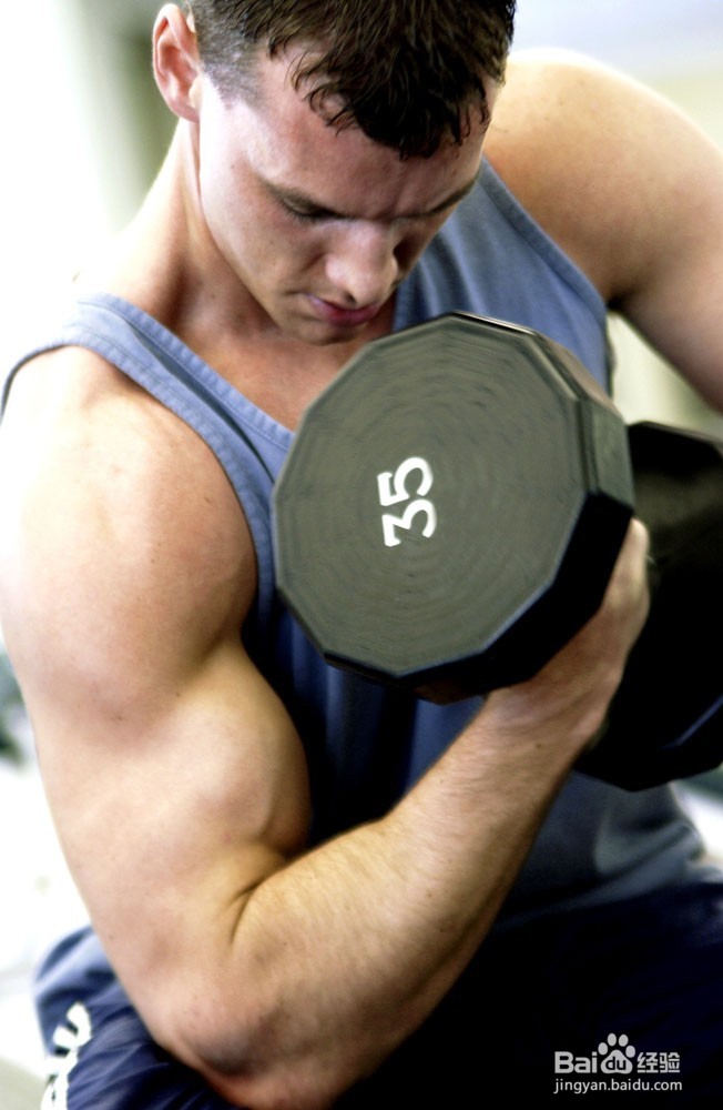 为什么锻炼不出肌肉