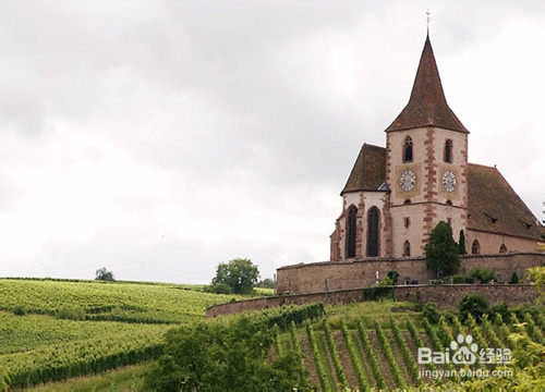 品尝葡萄酒 走进阿尔萨斯