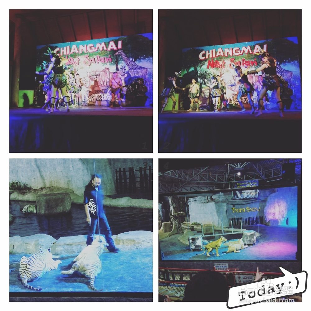 清迈刺激好玩的项目(2018.4.1更新)