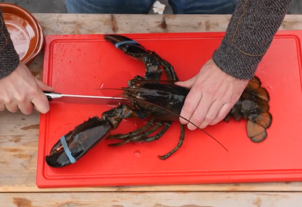 柠檬黄油烤加拿大龙虾