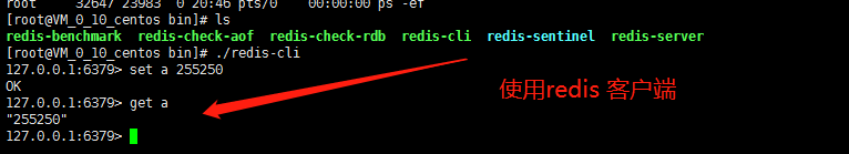 如何在CentOs7中安装redis单机版