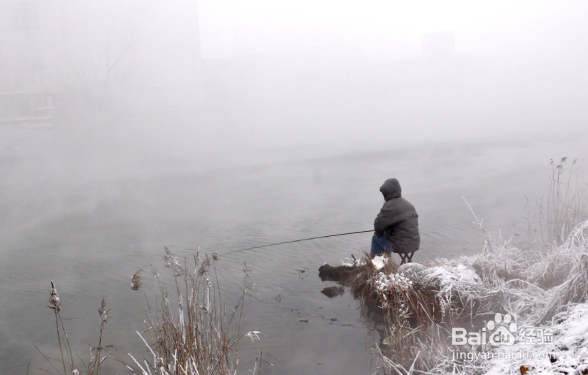 初冬不好钓鱼怎么办？冬天怎样增加鱼获