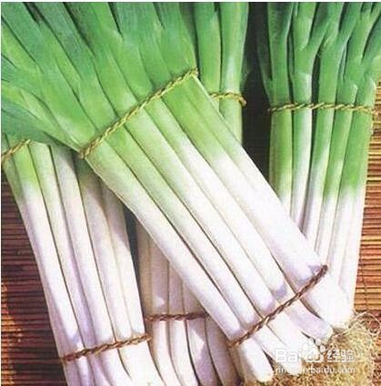 如何防治高脚白大葱的病虫害?