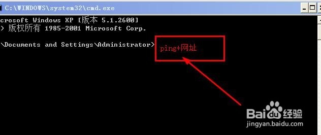如何查看网站的ip地址