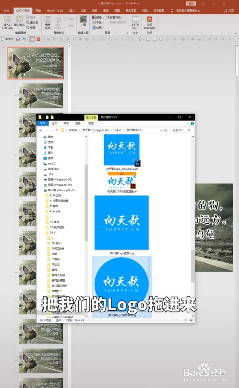 PPT中如何给图片批量加LOGO？
