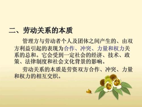 劳动的本质是说明