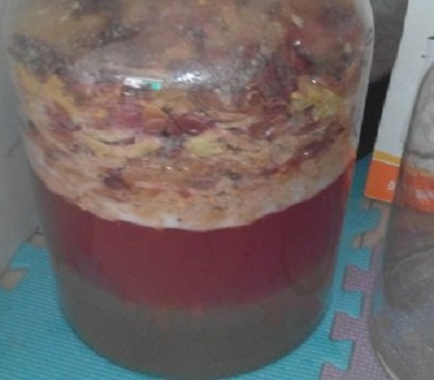 自己酿葡萄酒变色了啊？是怎么回事