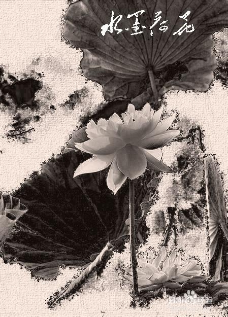 如何利用Photoshop制作水墨荷花