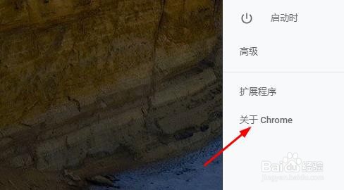 Google Chrome如何查看版本号