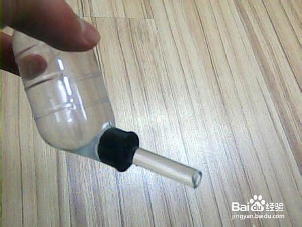 怎样养好仓鼠