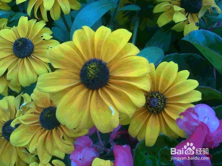 不同的画面怎样拍的更清晰