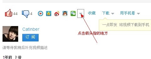 如何把视频放到网站和博客直接播放？