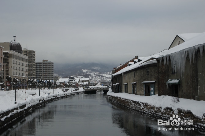 【日本】浪漫冬日 北海道の旅途（三）