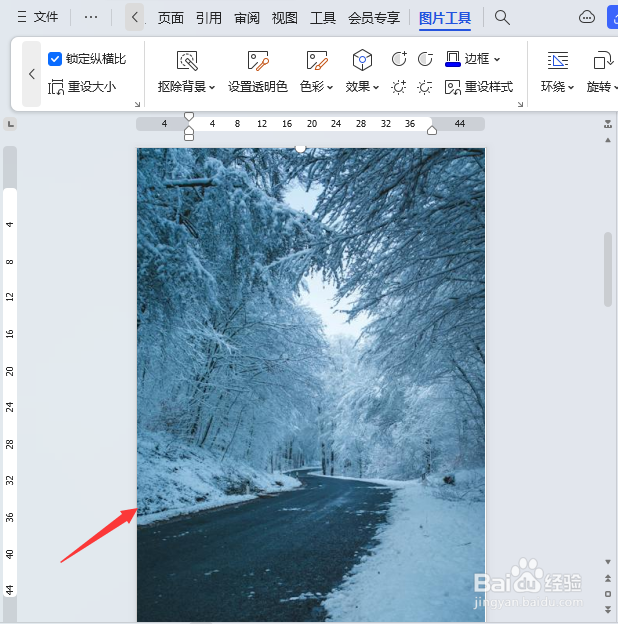 Word图片如何铺满整个页面