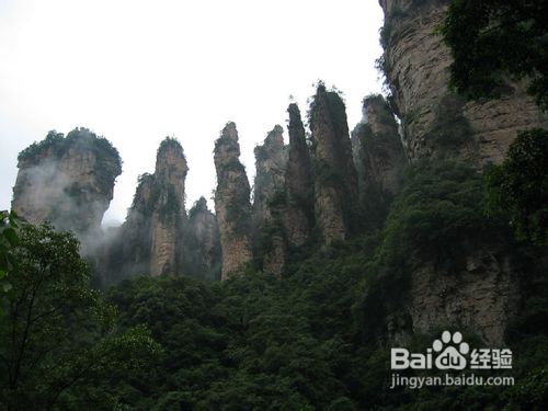 张家界自助游导游小彭