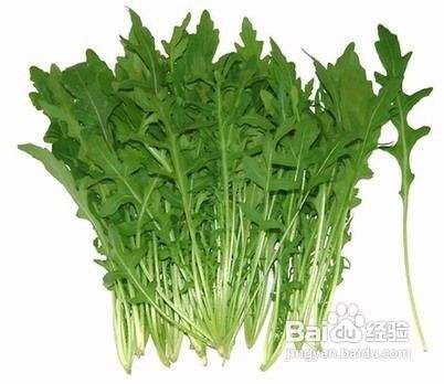 芝麻菜的营养价值 百度经验