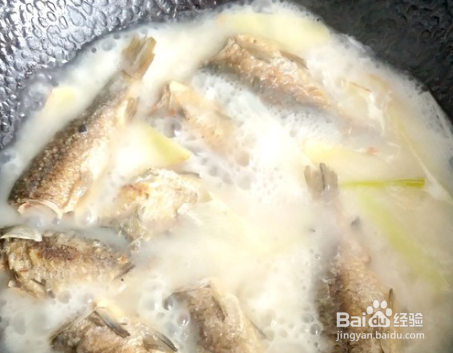 鲫鱼汤的做法
