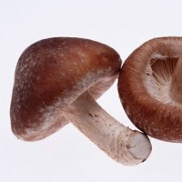 宝宝贫血时应该吃些什么补血