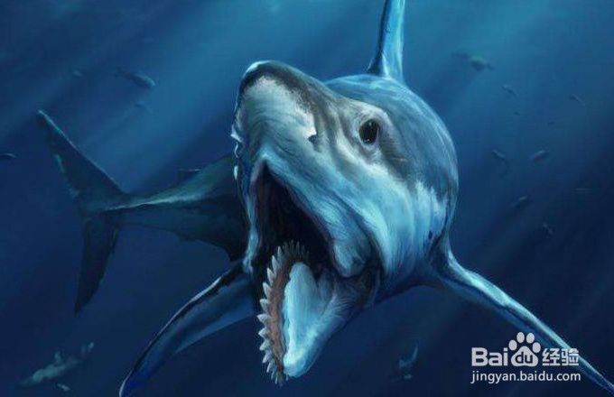 恐龙时代有鲨鱼吗?