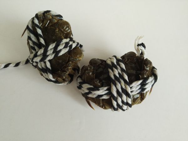 柠檬海盐烤螃蟹