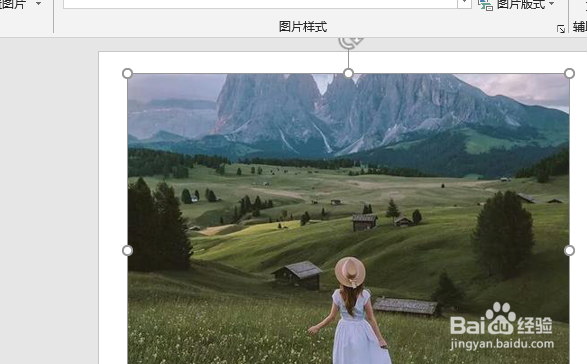 ppt图片怎么裁剪成自己想要的形状