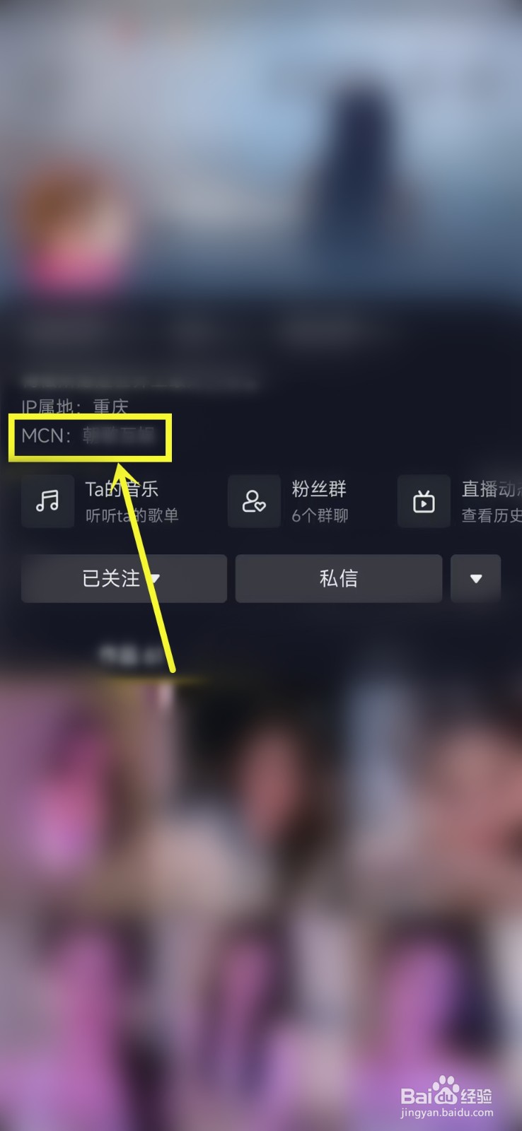 抖音主播mcn在哪里看