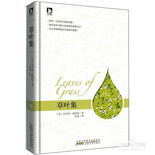 怎样写关于自己人生经历的自由诗句 百度经验 怎样写关于自己人生经历的自由诗句 百度经验