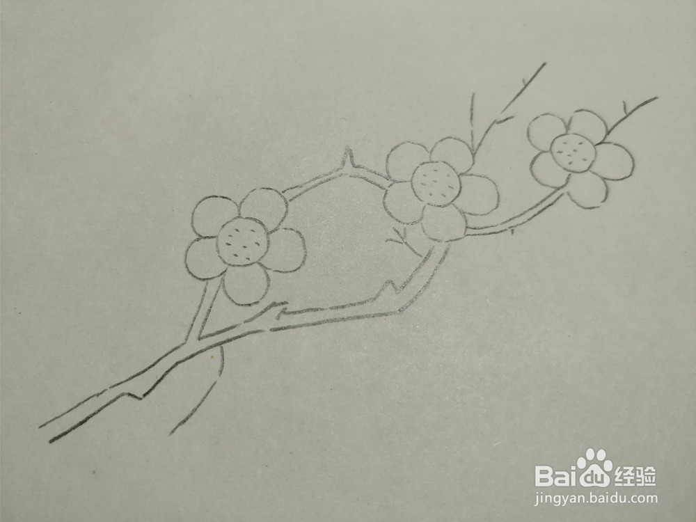 简笔画画卡通红梅