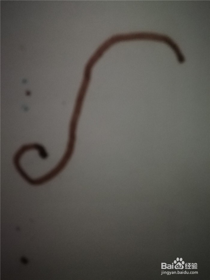 怎么样用简笔画画小鸡