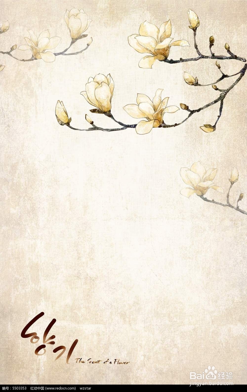 怎样忘掉一个人?