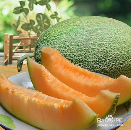 我们如何保存哈密瓜