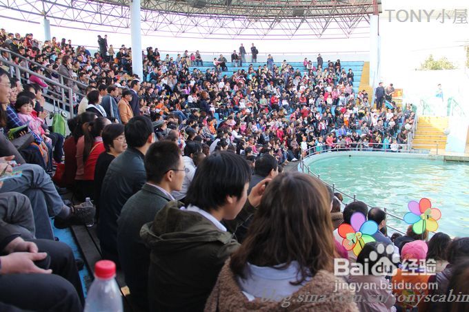 新手做土司必须要了解的5个要点---旅游外出给我们补充体力的芝麻黄油土司