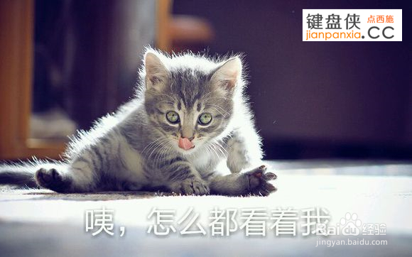 键盘侠什么意思