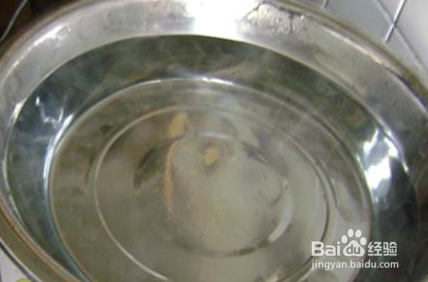 核桃种子育苗方法