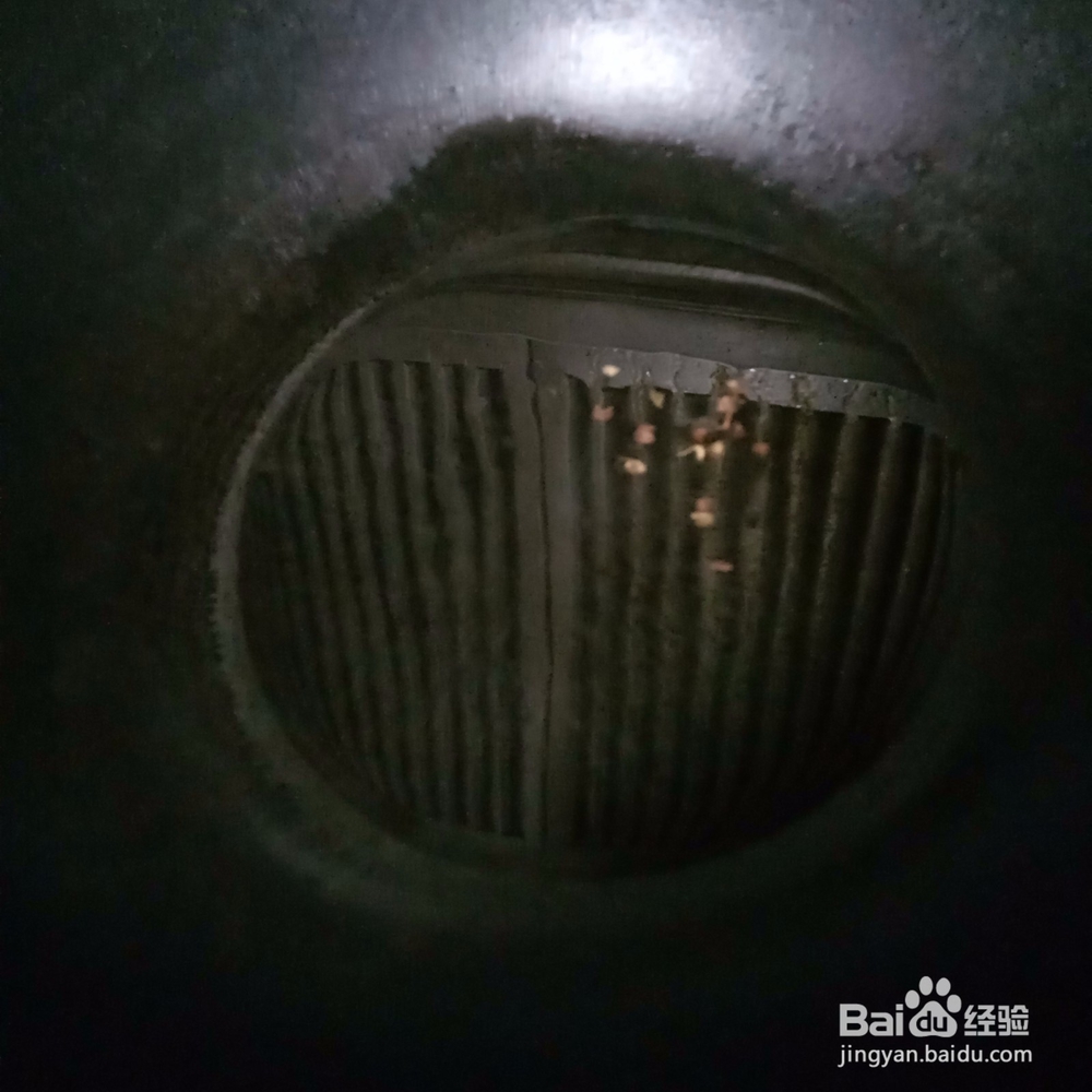 高汤波菜的做法