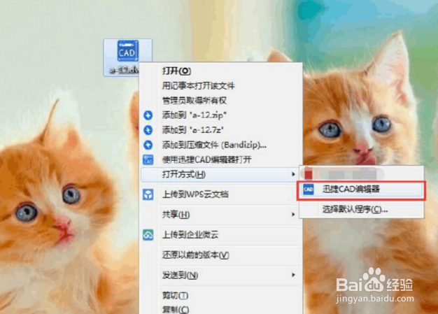 dwg格式用什么打开?