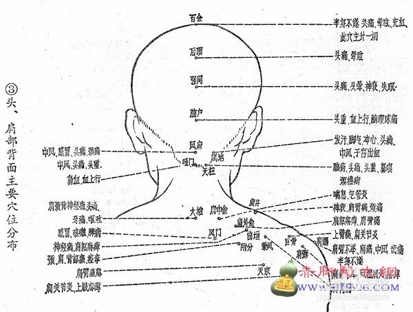 如何减轻预防肩周炎带来的疼痛
