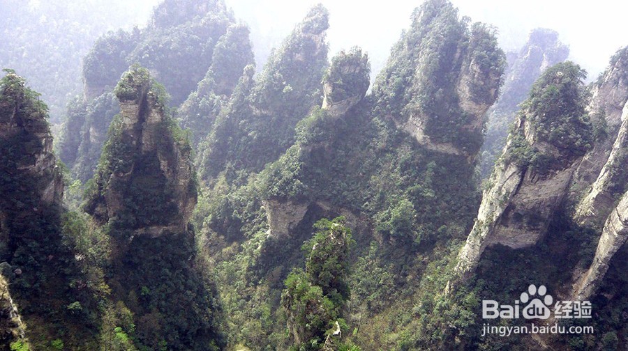 张家界游玩定制,原来大家都是这么玩的!