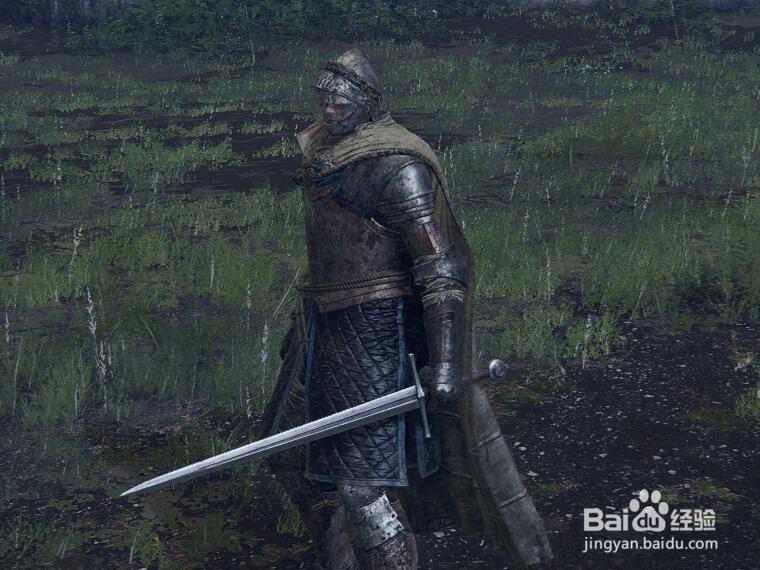 老头环如何双持武器