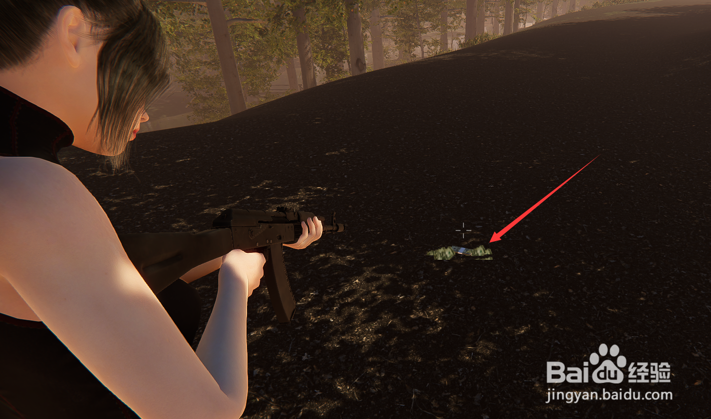 圣光绽放游戏攻略