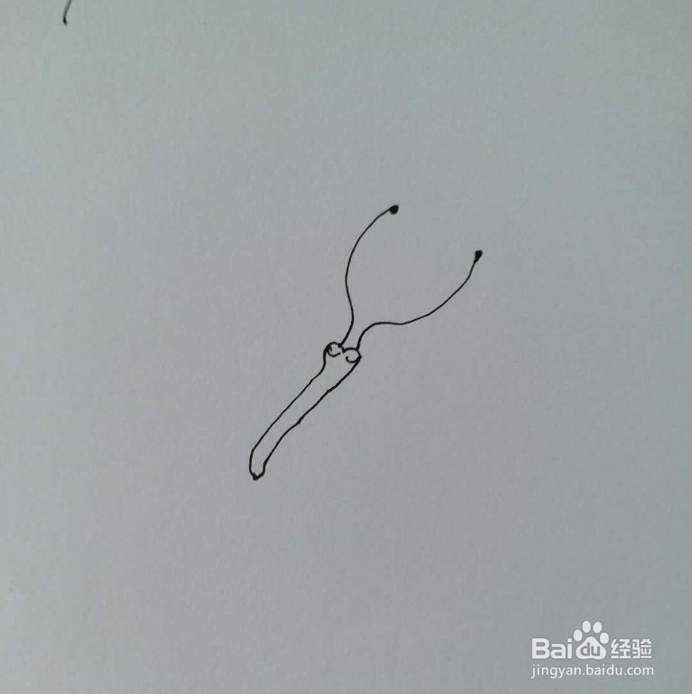 蝴蝶的简笔画1