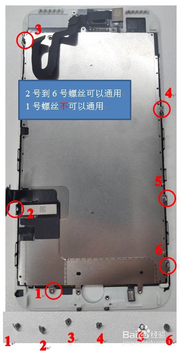 iphone6屏幕排线图解图片